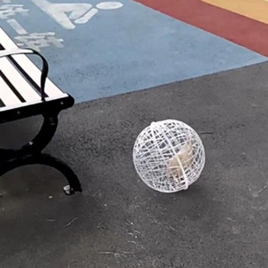 Rolling Chicken Ball Cage Detachable Chicken Ball Plastic Mesh Enclosure Chickens Orb Cage to Free Range for Hamsters Parrots Chicks