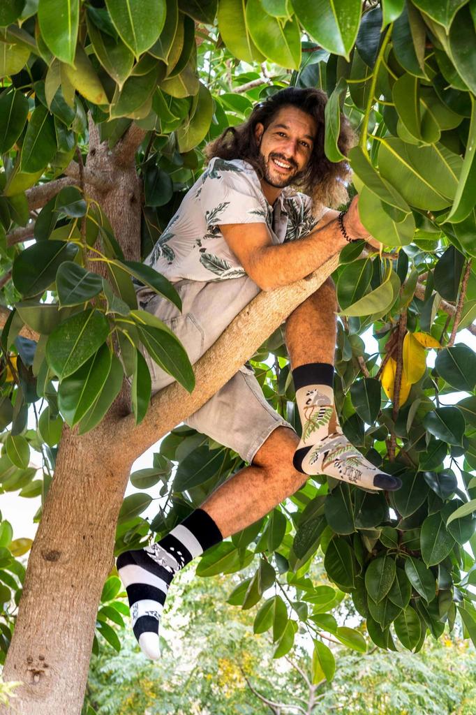 Лемуры - разноцветные носки 44-46