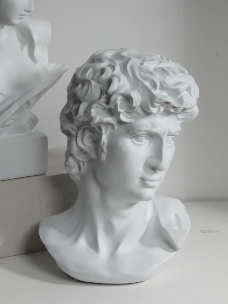 White David Head Sculpture Resin Figurine Sculpture Artwork Home Decorative Item for Bedroom, Living Room, and Study Desk