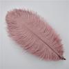 10Pcs/Lot 25-30Cm Ostrich Feathers For Crafts Party Decoration Jewelry Creation Natural Feather For Needlework And Handicrafts