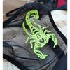 Perspective Mesh with Delicate Cool Scorpion Embroidery Ribbon Thong