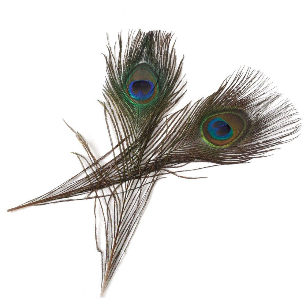 Useful Clothes Decals DIY Party Decor Natural Plume Peacock Eye Feathers Tail Artwork Ornaments