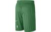 Nike Повседневные шорты мужские Травянисто-зеленые Тонкие DR4090-377