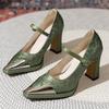 Fashion Autumn New Single Shoes Women Fashion Pointed Shallow Mouth Metal Head Line with Temperament Chunky Heels