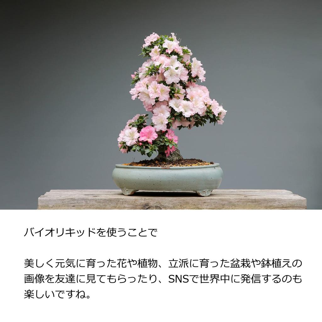 Jounetsu Farm Plant Revitalize Potted Plants and Bonsai Trees That Are Easily Widowed or Enjoy the Unexpected Growth Every Bonsai 100ml Energizer