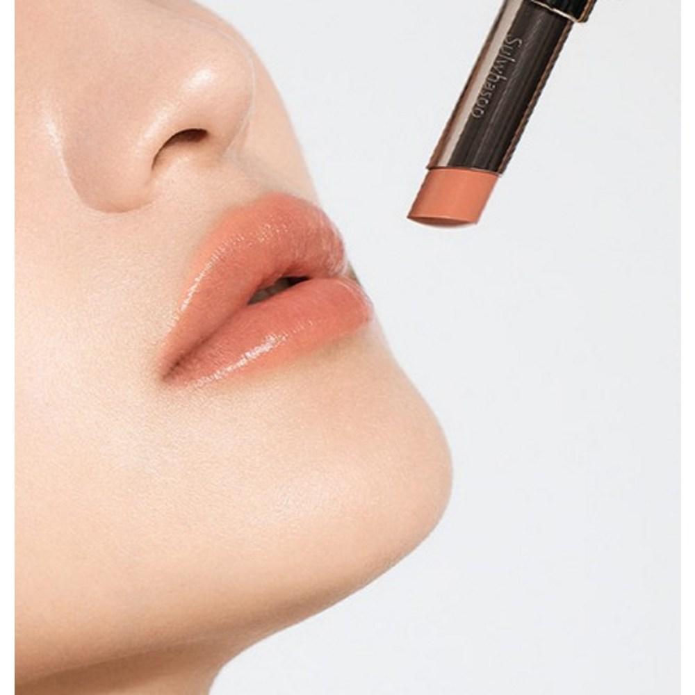 Sulwhasoo Совершенствующая помада для губ, 3 г, оттенок 310 Terra, 1 шт.