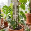 6PCS Interlocking Vine Climbing Column Sturdy Vine Fixed Support Frame Moss Stick  Garden