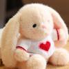 Wear Sweater Stuffed Animals Rabbit Toy Soft Rabbit Plush Toy  Birthday Parties