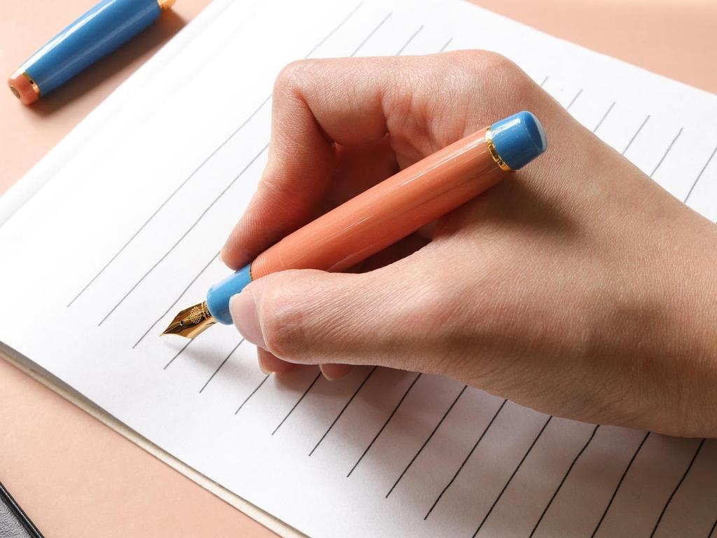 WANCHER Oasis Fountain Pen Extra (EF Fine)