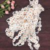 2.4CM Wide Beautiful White Embroidered Daisy Lace Fabric 3d Flowers Lace Ribbon Dress Collar Hats Headwear Sewing Trimming Decor