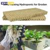 50pcs 25x25x25mm Stonewool Hydroponic Grow Media Cubes Plant Cubes Soilless Substrate Seeded Rock Wool Plug Seedling Block