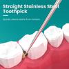 Инструмент для зубочистки из нержавеющей стали, игла для зубочистки, портативный набор инструментов для чистки зубов, металл 304