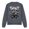 Teenage Mutant Ninja Turtles Толстовка унисекс для взрослых с изображением команды TMNT