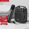 Портативный беспроводной усилитель голоса Newmine MS19, штекер CN (адаптер в комплекте)