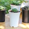 5/10pcs Thickened Flowerpot Reusable Succulents Plant Vientiane Basin Round High-Waisted Plant Pot Home Office Decor Garden Tool