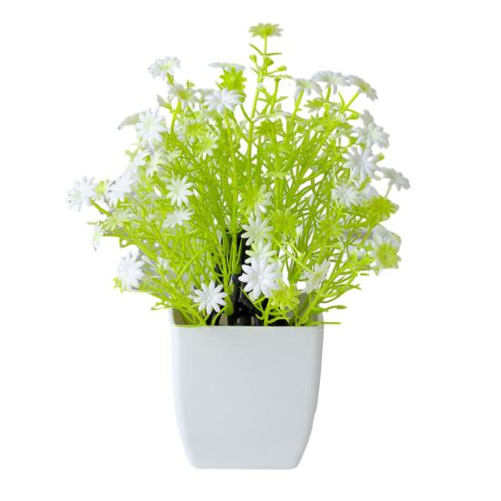 Красивые растения в горшках, не требующие полива, создают романтическую атмосферу