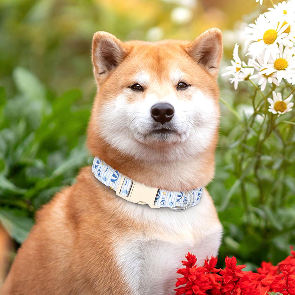 Ошейник для собак из нейлона, ошейники для домашних собак, регулируемое ожерелье для собак с милым принтом для маленьких, средних и больших собак, чихуахуа, мопсов, товары для животных