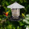 Bird Feeder Collapsible Wide Application Plastic Visible Mini Hanging Hummingbird Food Container for Garden