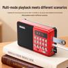 Newman K65 Portable Multifunction Bluetooth Radio Speaker