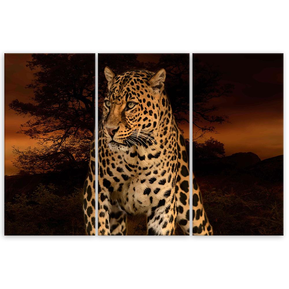 Картина из трех частей, принт на холсте, леопардовый кот, сафари