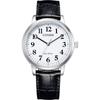 Мужские часы BJ6541-15A Фотовольтаические Eco-Drive Кожаные Бизнес-часы