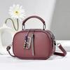 New Female Style Small Square Bag Trendy Fashion Leisure Korean Edition Handbag Women's Shoulder Cross Shoulder Camera Bag