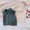 Осенне-зимний свитер для маленьких мальчиков и девочек, жилет, кардиган, вязаный крючком свитер с v-образным вырезом, жилет на пуговицах, повседневная верхняя одежда для малышей, От 0 до 9 лет