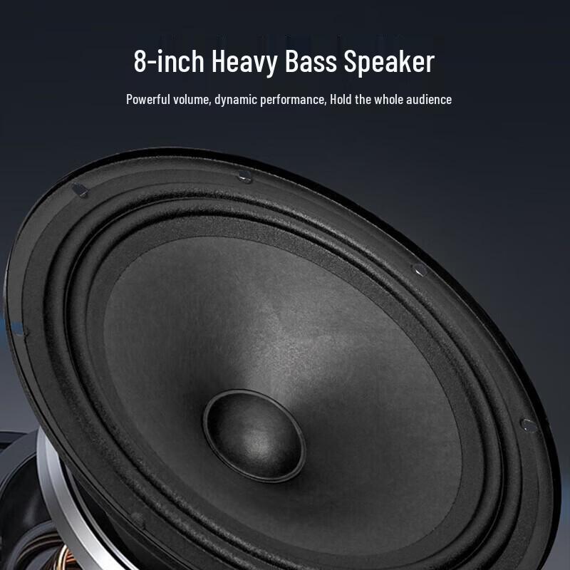 Edifier PP208 8-inch Portable Bluetooth KTV Speaker (CN version)
