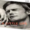 A Little Life by Hanya Yanagihara Paperback Book 9781529077216