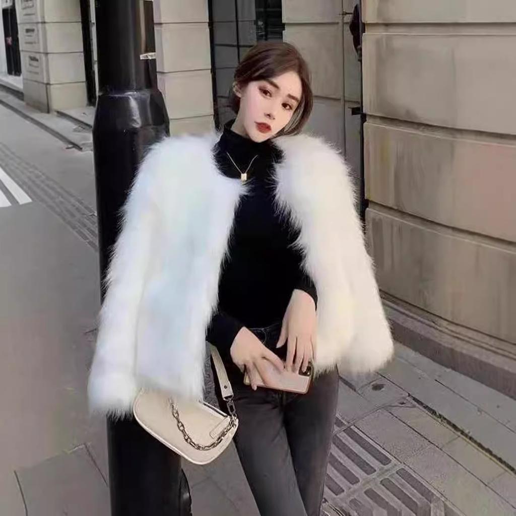 Autumn and Winter Fur Women's Short New Imitation Fox Hair Internet Celebrity Young Winter Fur Short Coat