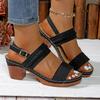 Fashion Women's Back Strap High Heels Sandals 2025 Summer Chunky Platform Gladiator Sandals Woman Plus Size Vacation Casual Beach Shoes