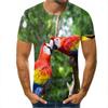 Fashion Colour Painting Parrot Graphic T Shirts Summer Men Casual Trend 3D Printed Short Sleeve Hip Hop Harajuku Streetwear Tees