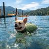 Cute Turtle Shape Pet Life Jacket Adjustable Portable Handle Dog Safety Vest Reflective Life Preserver Dog Surfing Clothes