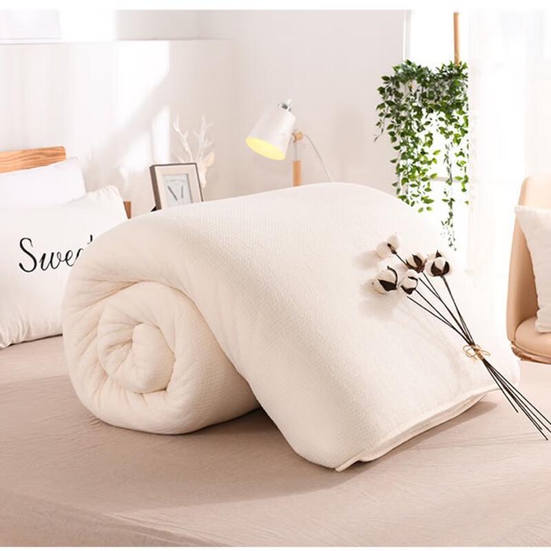Pusangmei Xinjiang Cotton Winter Comforter