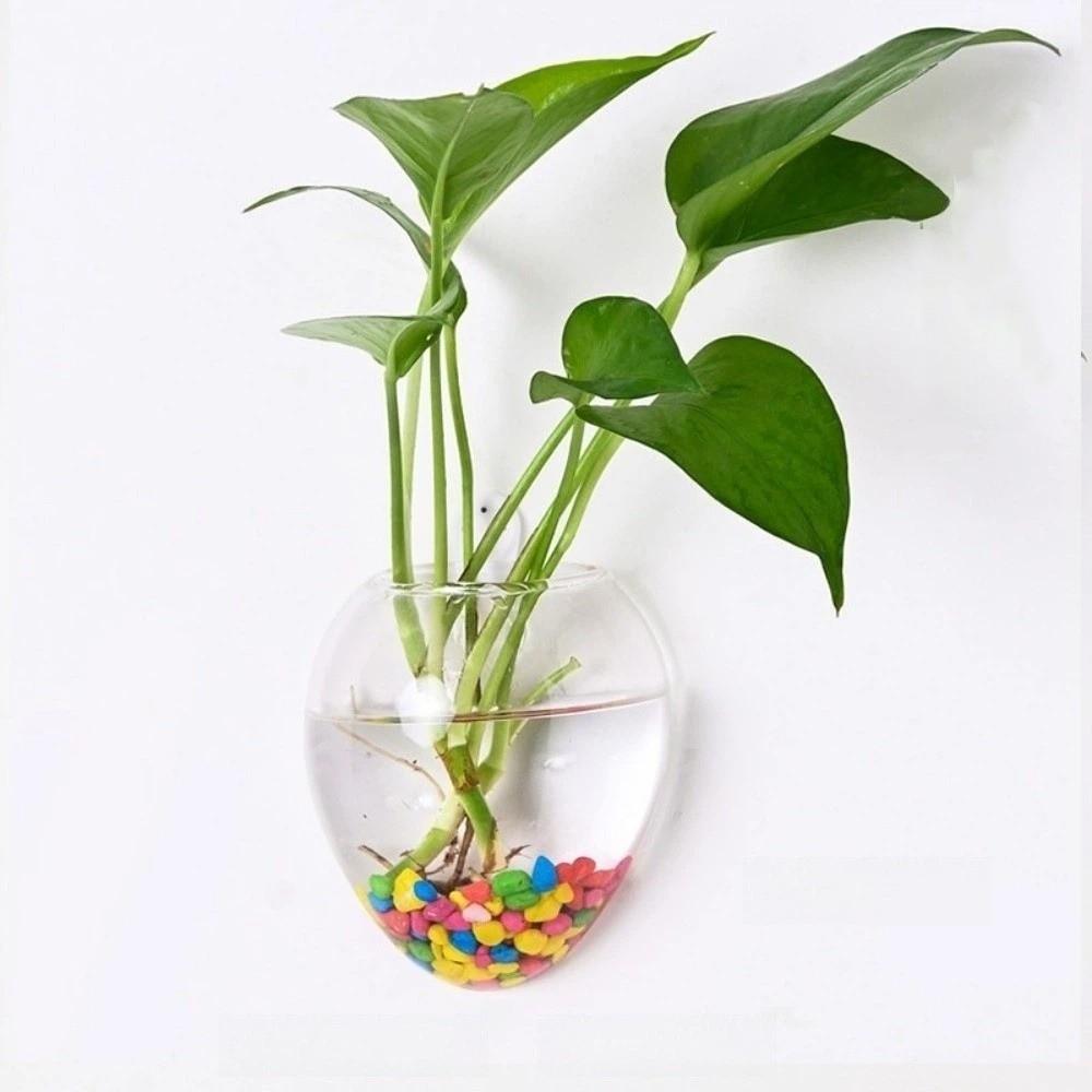 Transparent Glass Hydroponic Plant Holder Irregular Shape Flower Pot Home Decoration