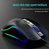 V600 Wired RGB Gaming Mouse