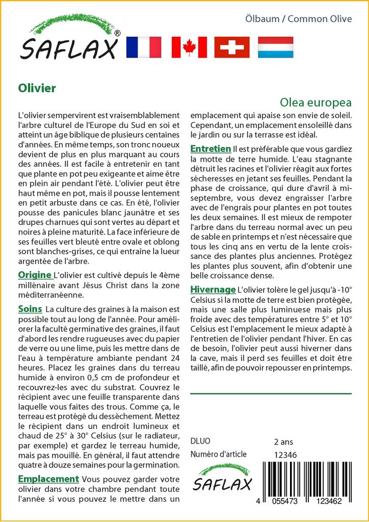 SAFLAX Олива обыкновенная - 20 семян - Olea europea