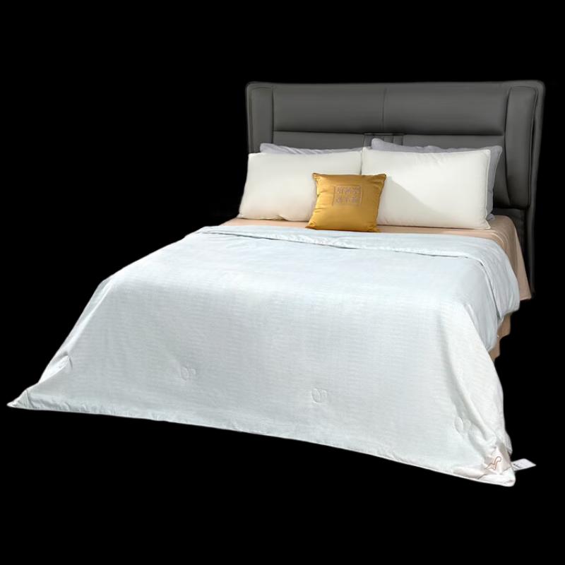 Mercury Home Textiles Xindela Silk Quilt