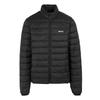 Mens Marizion Padded Jacket