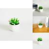 Imitation Succulent Plant Container With Durable Pvc For Home Interior Decoration