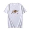 Creepy Tarantula Spider Horror Funny Unisex Graphic T Shirts Tee Top Short Sleeve Tshirts Oversized T Shirt Cotton Tshirt