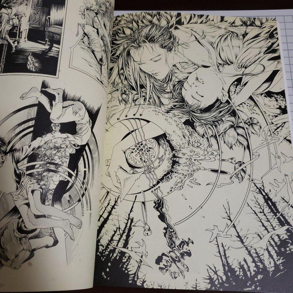 [USED] Ayumi Kasai Art Book Tsukiyoe