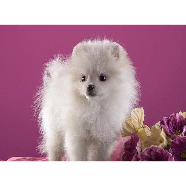 5D DIY Алмазная картина Набор Милый щенок Искусство Алмазная вышивка Стразы Украшения для дома