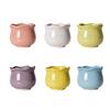 Siawadeky Милый Набор Цветов Стильный Керамический Горшок для Суккулентов Макарон Круглый Кактус Подходит для Мини-Сада С Дренажным Отверстием Горшки, 6, Горшки,