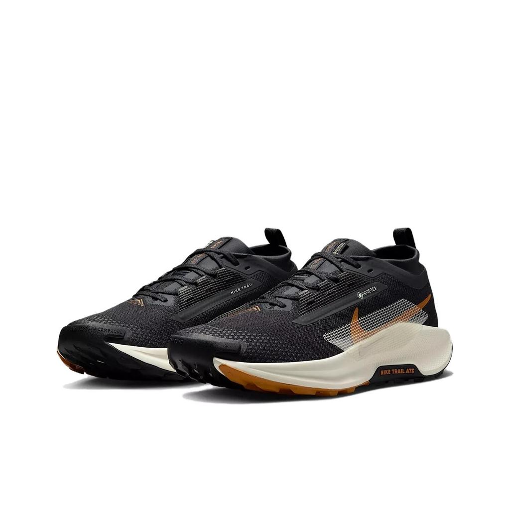 Nike Кроссовки мужские Pegasus Trail 5 GORE-TEX Black Monarch Off-Noir Pale-Ivory FQ0908-007