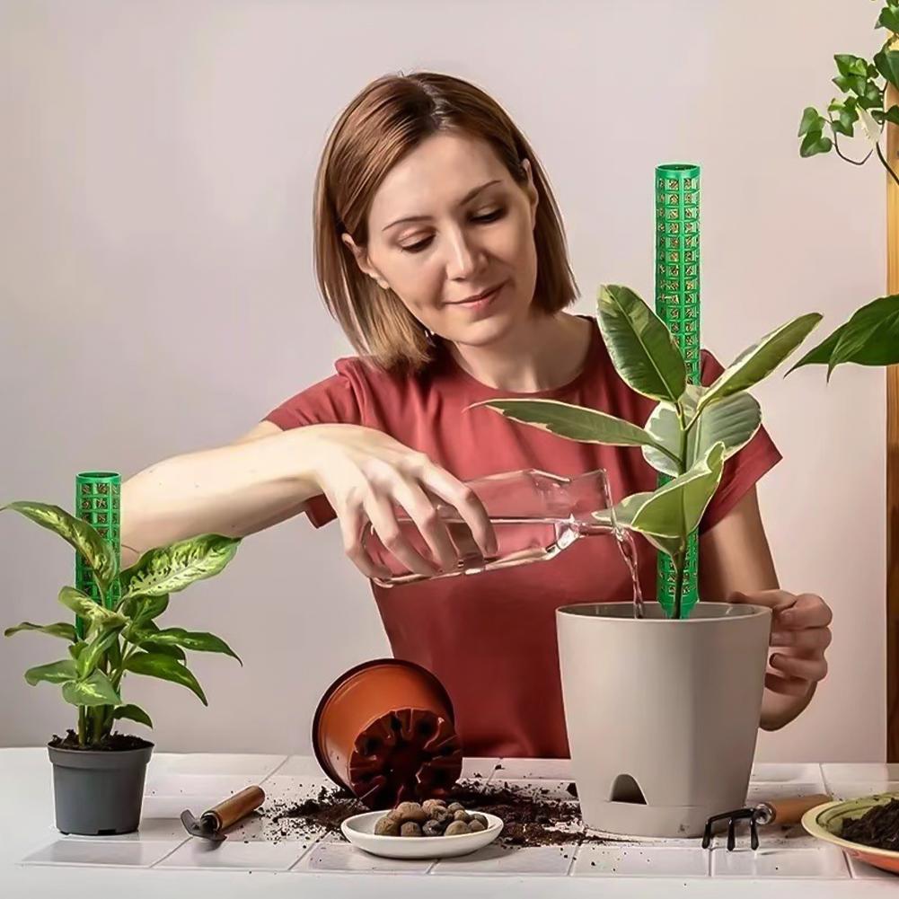 Моховые опоры для растений Пластиковые прозрачные многоразовые комнатные горшечные палки для выращивания вьющихся растений для роста вверх для сада