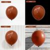 Ballon Baudruche - Marron - 10" 25 cm - 50 Pièces - Latex Naturel - Hélium