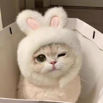 Милая шапка с животными кошкой Кошки Пушистый кролик Свинья Панда Дизайн Шляпа Веселая шляпа белого гуся Регулируемый головной убор для котят Праздничный аксессуар для костюма для вечеринки