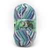 Opal Sock Yarn Sky 6ply Color "Fantastic 11221"
