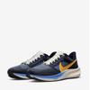 Nike Кроссовки Air Zoom Pegasus 39 Premium Do9580 400 S2205